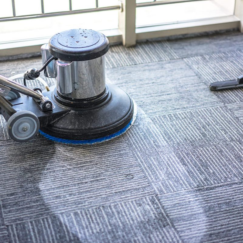 carpet-cleaners carpet-cleaners